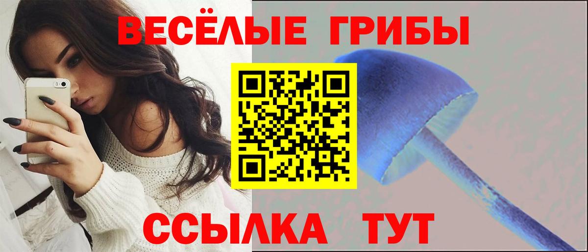 Галлюциногенные грибы прущие грибы  Псилоцибиновые грибы GOLDEN TEACHER  Михайловск  Вход с VPN 