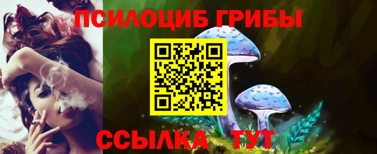 Псилоцибиновые грибы Psilocybe Михайловск